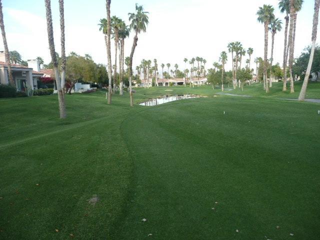 Palm Valley Cc Pickleball, Tennis, Gym, Clubhouse, Swimming Pools, Lux, Spac 2 Bdrms Den 2 Ba Palm Desert Kültér fotó